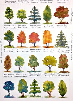 watercolor trees are shown in different colors