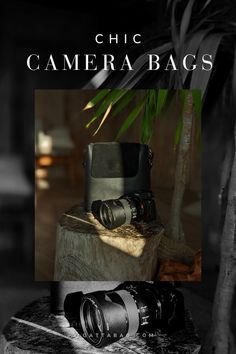 two cameras sitting on top of a wooden table next to a palm tree and the words chic camera bags