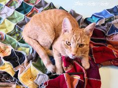 an orange cat laying on top of a pile of colorful crochet afghans