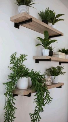 Porch Garden, Terrace Design, Wall Shelves, Home Deco, Home And Garden, Apartment, Shelves, Wall, Home Decor