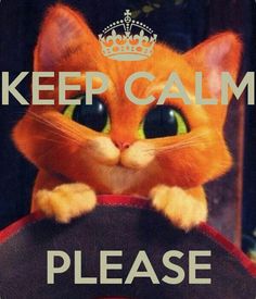 an image of a cat with the words keep calm