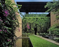 an outdoor garden with lots of greenery and flowers on the side of the building