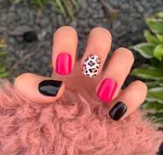 3 Different Color Nails, Cheetah Print Nails Short, February Gel Nails, Nails Cheetah Print, Nails Fancy, Nails Cheetah, Different Color Nails, Cheetah Print Nails, Nails Love