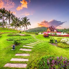 a beautiful garden with steps leading to the house