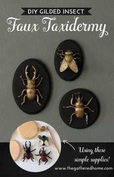 three black plates with gold bugs on them and the words diy gilded insect faux