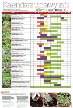 the garden planner is full of plants and flowers, which are labeled in different colors