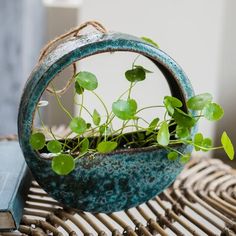 a potted plant sitting on top of a wicker table