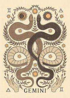 an illustration of a snake and sun surrounded by leaves