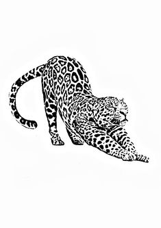 a black and white drawing of a cheetah laying down on its back with it's head turned to the side