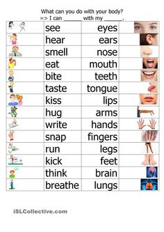 a poster with words describing different types of teeth