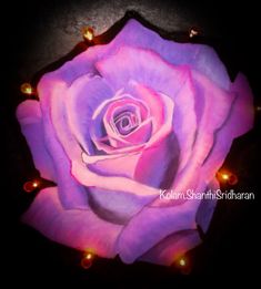 a purple rose with some lights around it