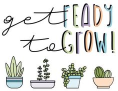 the words get ready to grow are surrounded by potted cacti and succulents