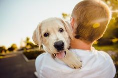 a man is holding a puppy in his arms while the sun shines on him