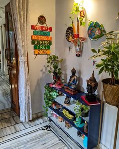 there are many potted plants on the shelves in this room, and one is displaying them