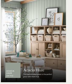 a living room filled with lots of furniture next to a tree in a window sill