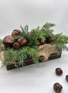 some nuts are sitting in a basket on a white surface with pine needles and green leaves