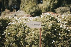 a sign that says reception in front of some bushes and white flowers on the ground