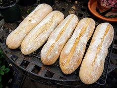 several loaves of bread sitting on top of a grill next to a potted plant