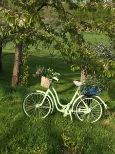 a green bicycle parked in the grass next to some trees and flowers with baskets on it