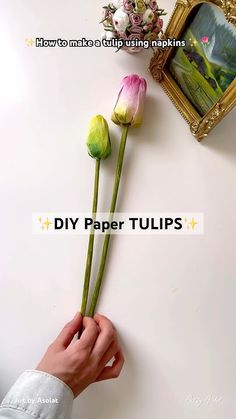 a person is holding three flowers in front of a wall with the words diy paper tulips on it