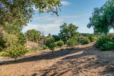 a dirt field with trees and bushes in the background