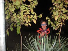 a man wearing glasses standing in front of a plant with green leaves on it at night