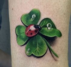 a ladybug sitting on top of a four leaf clover