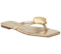 Bring a splash of seaside charm to any look with the Camie thong sandal, featuring a fun shell ornament for just the right amount of polish. From Katy Perry. Beach Flats, Seashell Ornaments, Shell Ornaments, Thong Sandals, Katy Perry, Sea Shells, Fashion Shoes, Shells, Sandals