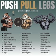 an image of the push pull legs workout plan for beginner to advanced bodybuyers