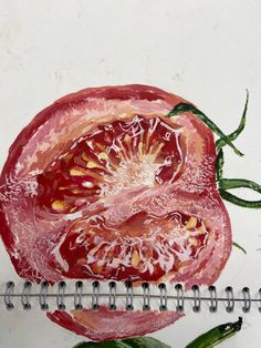 a drawing of a tomato on top of a spiral notebook