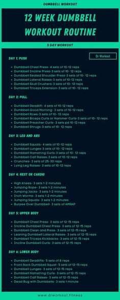 a poster with the words 12 week dumbbell workout routine