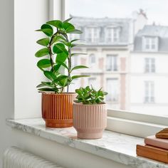 two potted plants sitting on top of a window sill next to a book