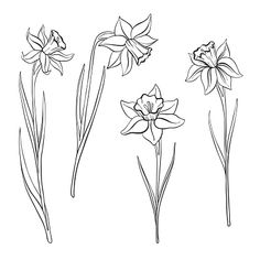 the flowers are drawn by hand on a white background