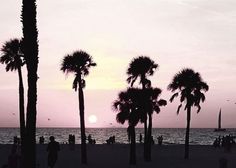 palm trees are silhouetted against the setting sun on a beach with people walking around