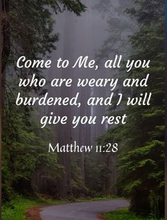 a road surrounded by trees with the words, come to me, all you who are weary and burdend, and i will give you rest