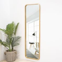 a potted plant sits next to a mirror on a shelf in a white room