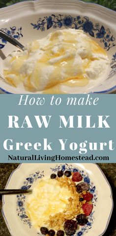 Instant Pot Greek Yogurt, Goat Milk Yogurt, Homemade Yogurt Recipes, Make Greek Yogurt, Instant Pot Yogurt, Homemade Greek Yogurt, Greek Yogurt Recipes, Nourishing Foods