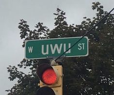 a traffic light with a street sign above it and trees in the backround