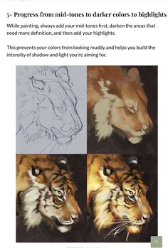 the steps to draw a tiger's face with colored pencils and watercolor