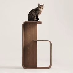 a cat is sitting on top of a wooden object that looks like a book stand