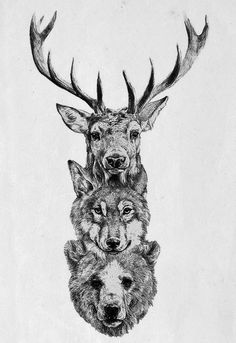 three wolfs with antlers on their heads are depicted in this black and white drawing