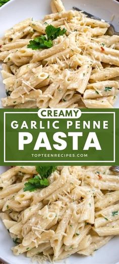 creamy garlic penne pasta on a white plate