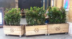 two wooden planters with plants in them on wheels