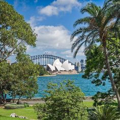 the sydney opera house and harbour bridge are seen from across the water with palm trees in foreground