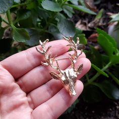 *Offers Welcome! 20% Off Bundles Of 3 Or More Items! . . New Gold Stag Brooch Pin. Beautiful. Approx 5.5cm Long. . . . _________ Brooches Pins Grandma Grandmas Grandmother Grandmothers Grandmother's Mother Mothers Mother's Day Holiday Stocking Stuffer Stuffers Nwot Brand New Without Tags Never Worn Boutique Jewelry Gift Present Yellow Deer Reindeer Rudolf Rudolph Natural Earthy Rustic Pins Brooches Moose Deer Antlers O Gat Moose Deer, Holiday Stocking, Deer Antlers, Boutique Jewelry, Women Accessories Jewelry, Stocking Stuffer, Antlers, Moose, Jewelry Gift