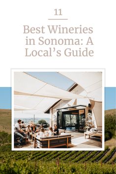 wineries in sonoma - a local's guide cover image with text overlay