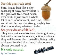 a poem with an acorn on it that says, see this giant oak tree?