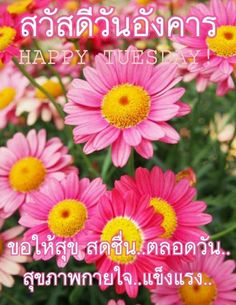 pink and yellow flowers with the words happy birthday written in thai on it's side