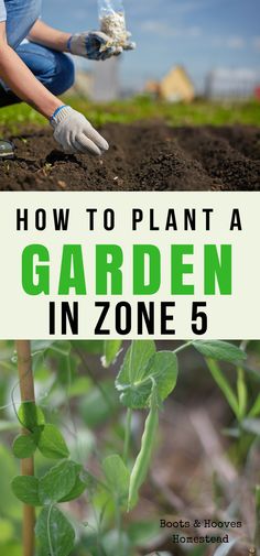 how to plant a garden in zone 5