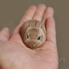 a hand holding a tiny stuffed animal in it's palm